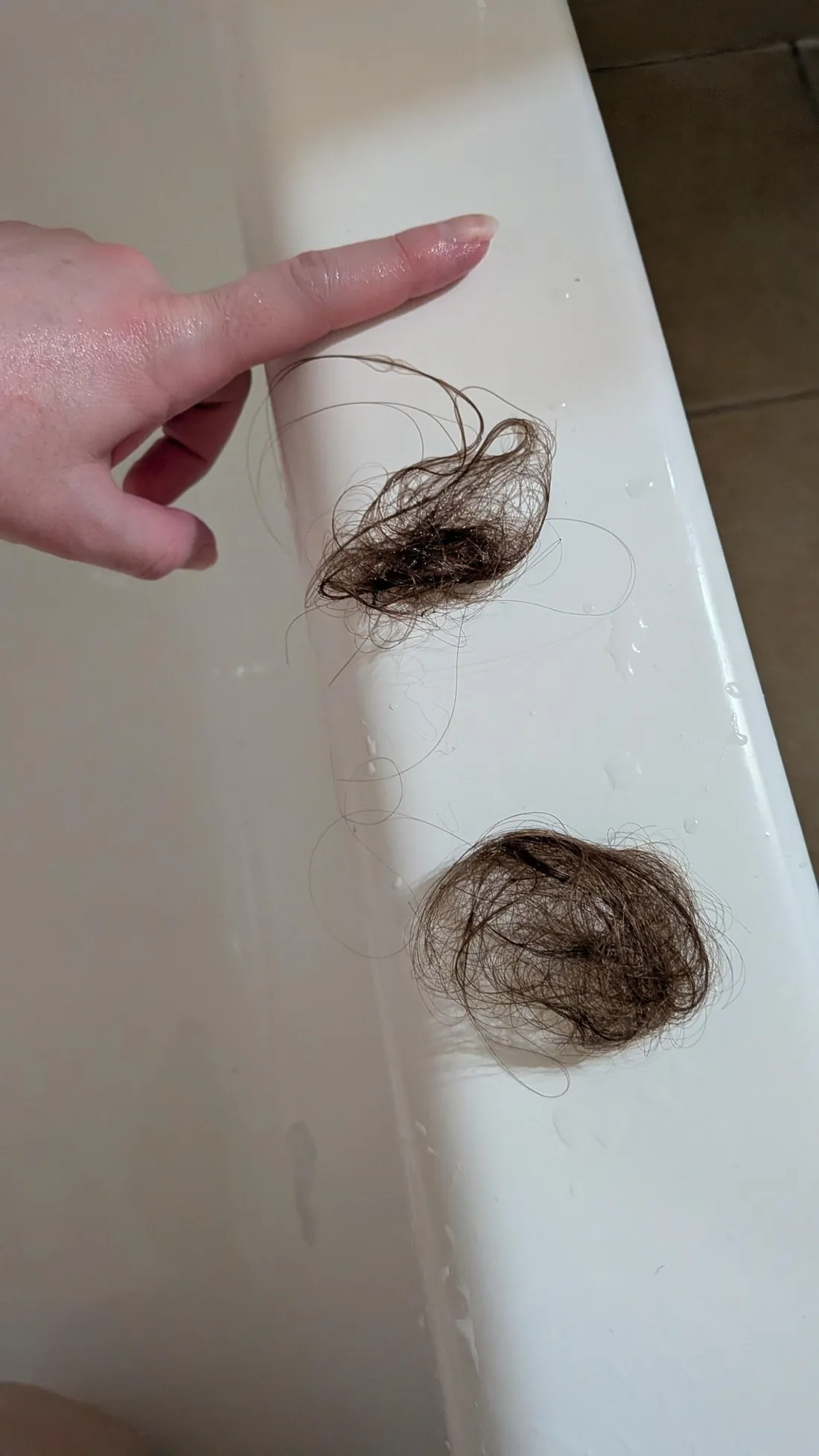 Two clumps of shed hair on the edge of a bathtub