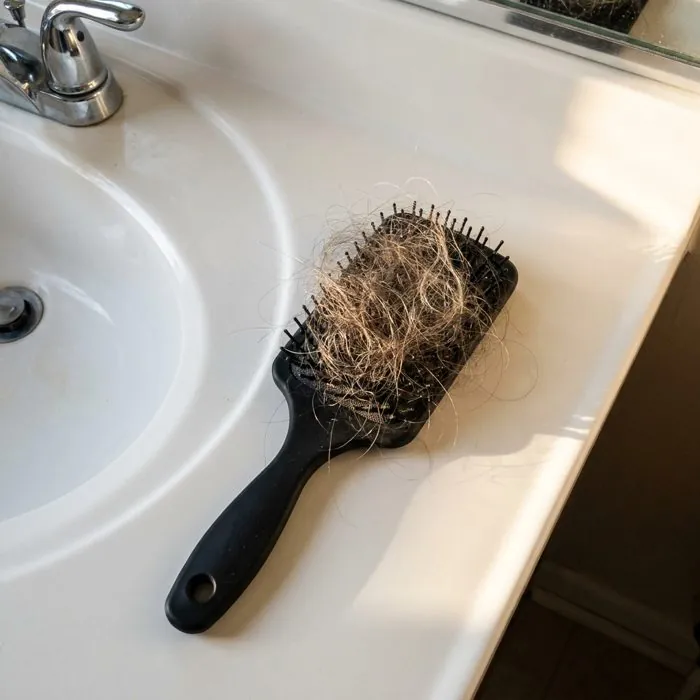 A hairbrush full of shed hair on a bathroom sink